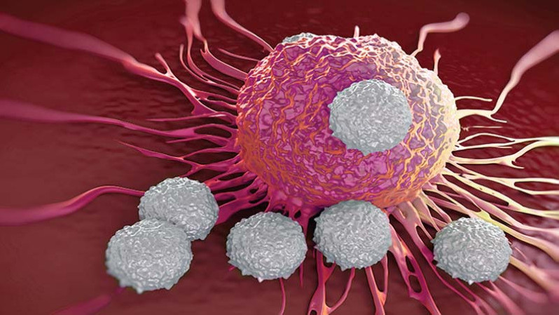 Cancer Treatment In India